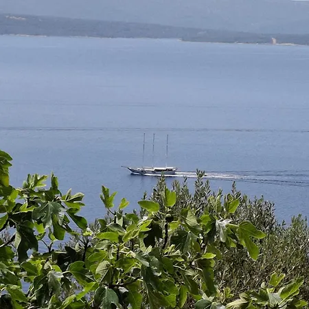 Irena Appartamento *